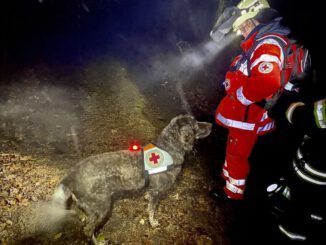Rettungshunde: Gladbecker Rettungshundeeinsatz in Warstein Großeinsatz für DRK Rettungshundestaffeln
