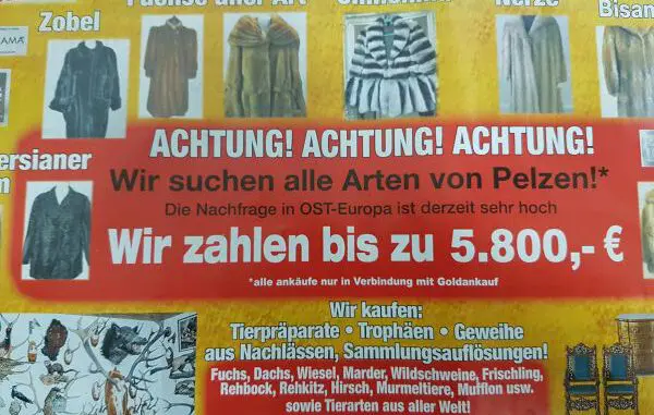 Wir kaufen Ihre Pelze! * Prospekte in Gladbeck verteilt