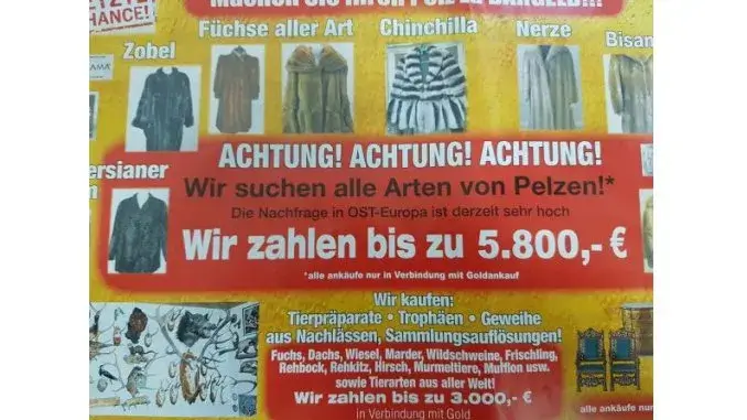 Pelze und Gold_ergebnis Wir kaufen Ihre Pelze! * Prospekte verteilt