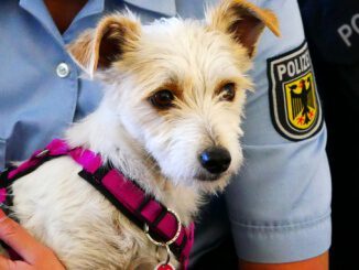 Dank Steuermarke - Bundespolizei vereint Hund und Frauchen