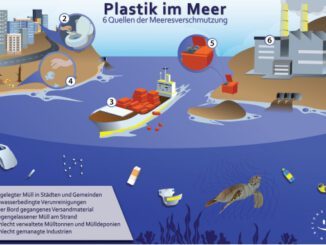 Plastikverschmutzung im Meer: Wie bedroht sind unsere Ozeane wirklich?