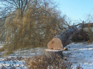 Naturdenkmäler fällt der Kreis RE in Gladbeck
