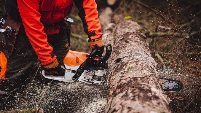 Forstleute fehlen in NRW, so die IG Bau