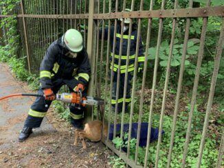 Tierrettung mit hydraulischem Gerät in Gladbeck