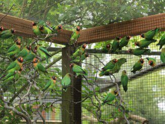 Der kleine "Zoo" in Gladbeck öffnet wieder