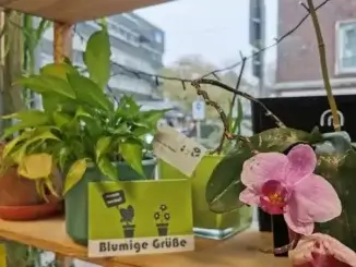 Pflanzentausch im Stadtteilbüro Gladbeck-Mitte beendet