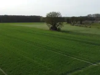 Grundstückswerte für landwirtschaftliche Flächen in Gladbeck