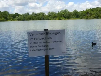 Blaualgen im Rotbachsee? Lippeverband warnt!