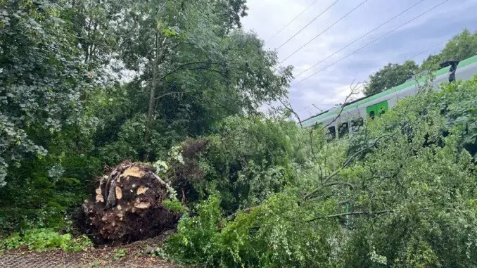 S9 kollidiert auf dem Weg nach Gladbeck mit umgestürztem Baum