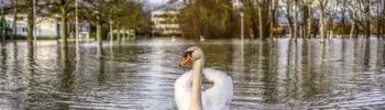 Nächster Starkregen kommt in Gladbeck bestimmt