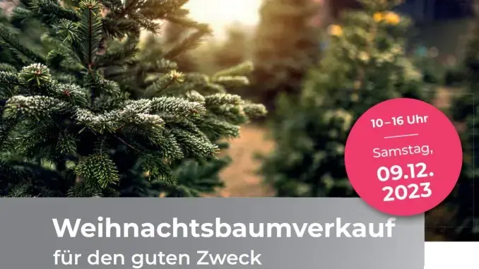 Weihnachtsbaumverkauf am Barbara-Hospital in Gladbeck