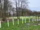 ZBG hat in Gladbeck schon 300 selbstgezogene Eichen gepflanzt