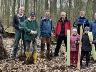 500 Eichen und Buchen in Gladbecker Wald neu gepflanzt