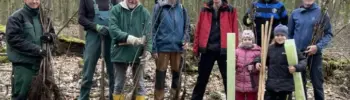 500 Eichen und Buchen in Gladbecker Wald neu gepflanzt