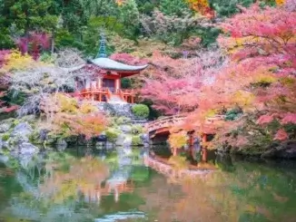 Die Faszination japanischer Gärten