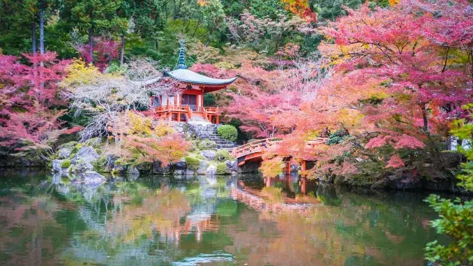 Die Faszination japanischer Gärten