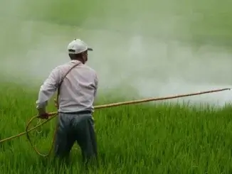 Parkinson als Berufskrankheit anerkannt - Risiko durch Pestizide