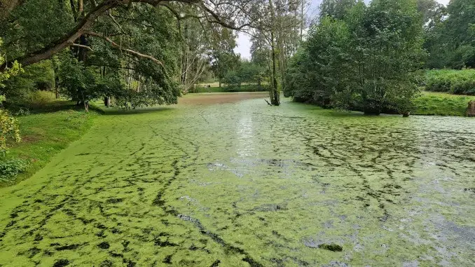 Blick auf das Idyll aus einer anderen Richtung