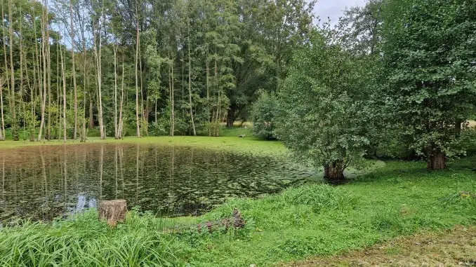 Das Biotop in Zweckel