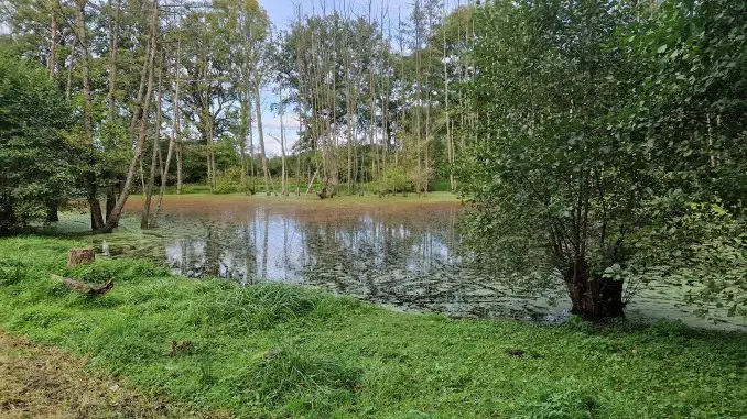 Das Biotop am Frochtwinkel