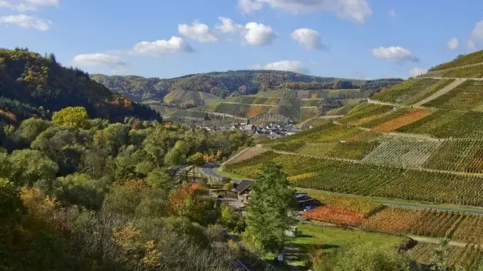 Zum Winzerfest nach Dernau ins Ahrtal mit der VHS Gladbeck