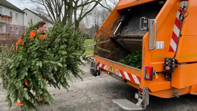 Weihnachtsbäume holt die Stadt Gladbeck kostenlos ab