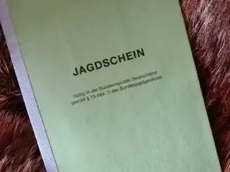 Waffengesetz geändert: Auswirkungen auf Jagdschein-Anträge