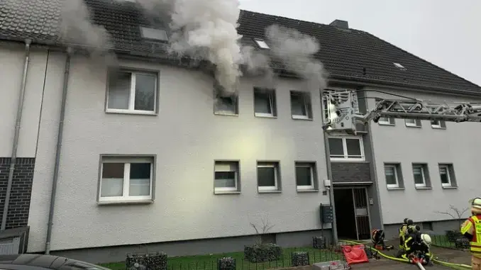 Haustier überlebt Küchenbrand zur Mittagszeit