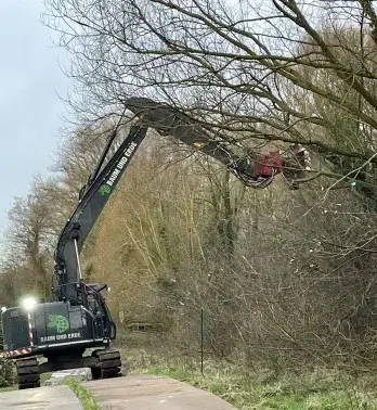 Hubsteiger beim Kopfweidenschnitt