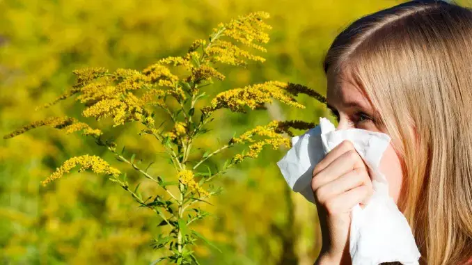 Pollenalarm: Allergische Atemwegserkrankungen