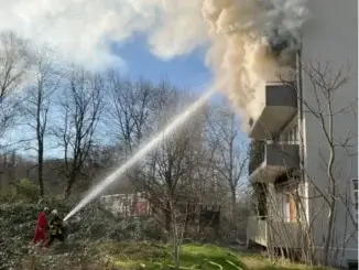 Keine Verletzten beim Wohnungsbrand