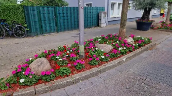 Langes Beet