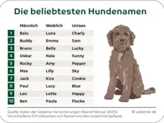 Luna, Balu und Pommes