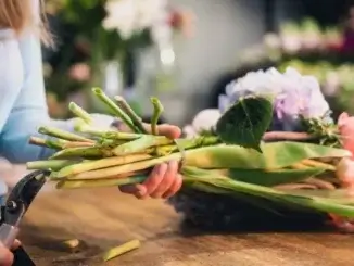 Über 290 Floristik-Beschäftigte im Kreis RE