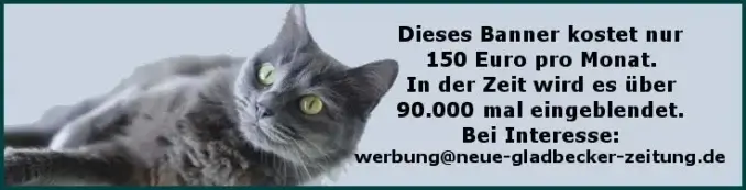 Katze mit Werbetext