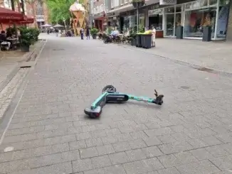 Jusos zeigen Reue: Sie sammelnE-Scooter ein