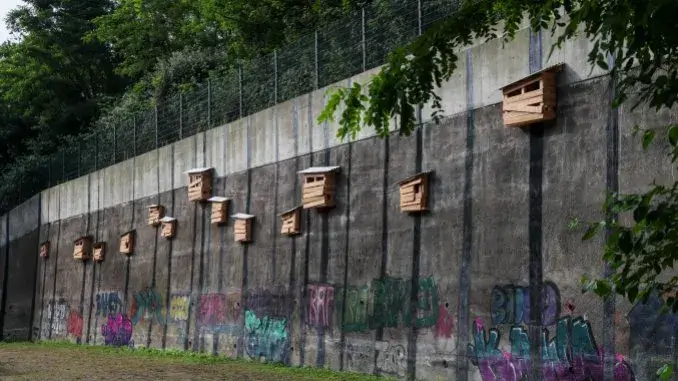 Tree Hut on the Wall - EGLV Tadashi Kawamatas Baumhäuser an der Boye
