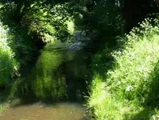 Auf Wasser-Entnahmen aus Gewässern verzichten