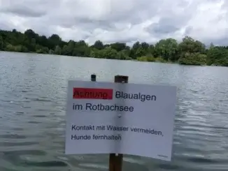 VORSICHT! Blaualgen im Rotbachsee