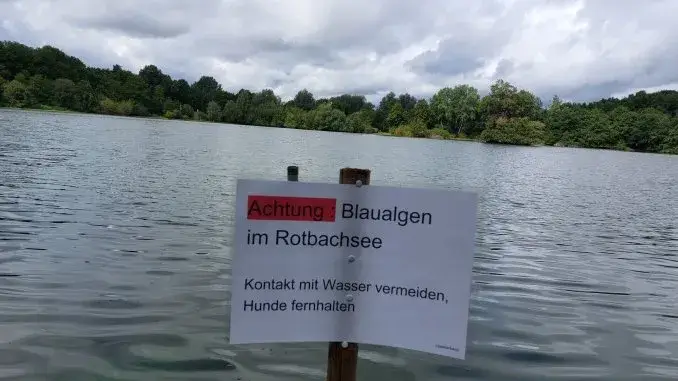 Blaualgen - Warnschild im Rotbachsee VORSICHT! Blaualgen im Rotbachsee