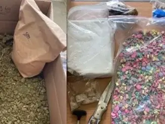 Drogendealer verhaftet