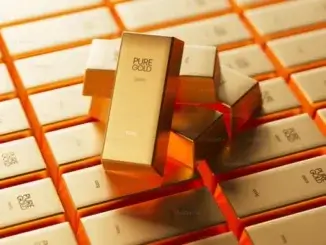 Bitcoin oder Gold: Investment oder Spekulation
