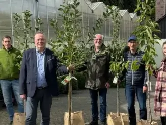 Vestische Geburtsbäumchen verschenkt der Kreis RE