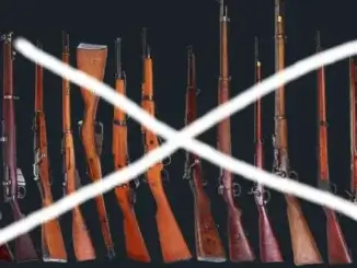 AfD-Politiker aus Marl muss Schusswaffen abgeben