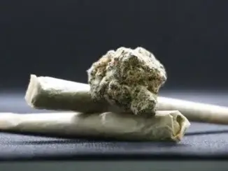 Mit Marihuana im Auto nachts in Gladbeck Unfall gebaut