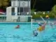 Erfolgreiches Wasserball-Event im Freibad
