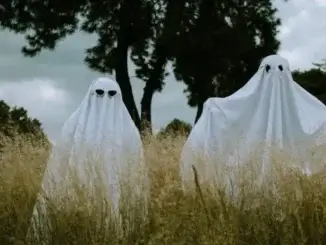 Halloween-Streiche in Gladbeck "harmlos"