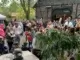 Halloween-Party und Martinsfest