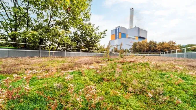 Klimaanpassung für Unternehmen_ergebnis Klima-Check-Up für Unternehmen