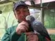 Vogelinsel: Frühzeitiger Umzug der Vögel